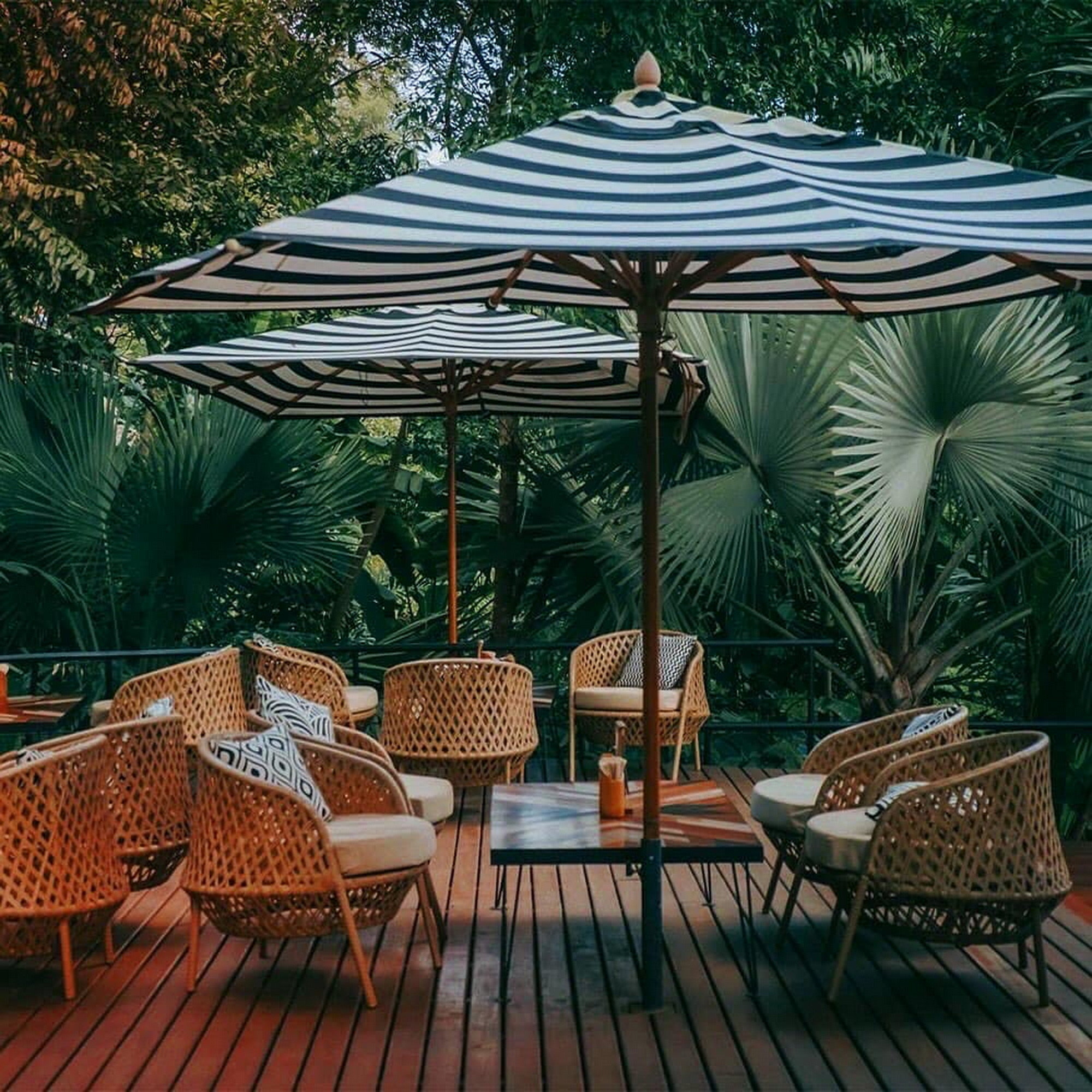 Nature Dining